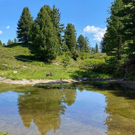 Aschau Im Zillertal Landhaus Rieder Im Zillertal 아파트 외부 사진