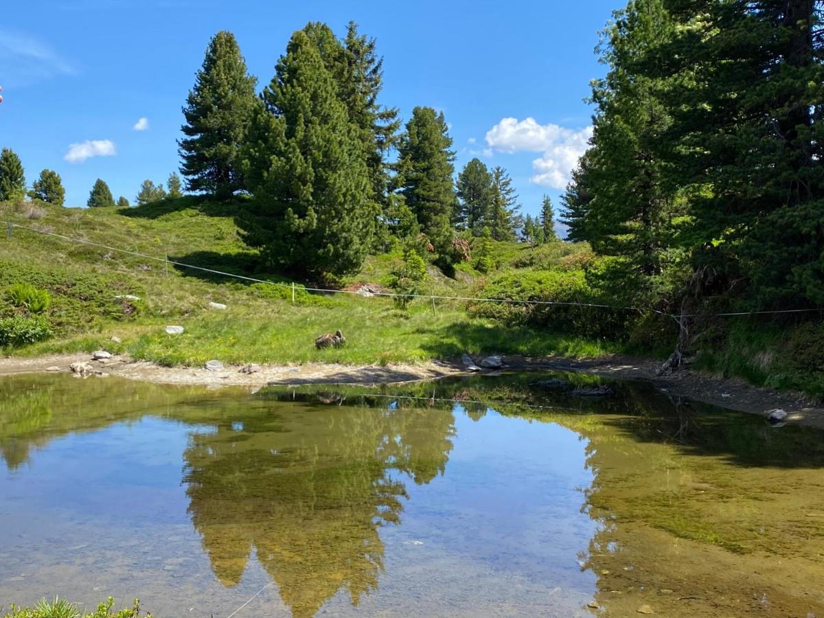 Aschau Im Zillertal Landhaus Rieder Im Zillertal 아파트 외부 사진